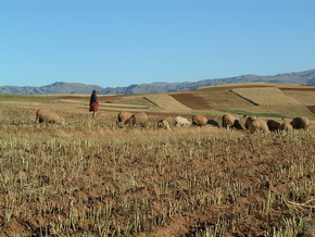 Tours of Maras and MOray in the Sacred Valley of the Incas - Cusco Peru