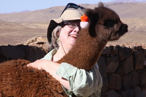 Lamas at the Sacred Valley of the Incas in Cusco Peru.