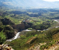 Cañon del Colca
