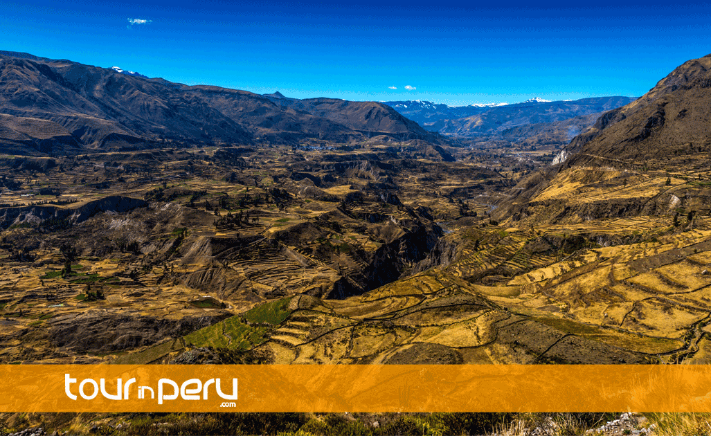 Descubre el Valle del Colca en un tour de 2 días con TOUR IN PERU