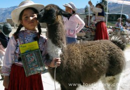 Arequipa-2