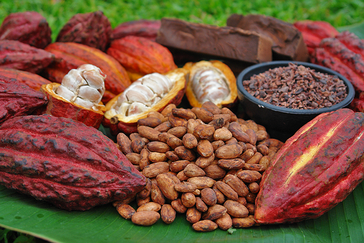 Productos de Bandera: El Cacao