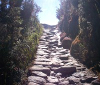 Aventura en el Camino Inca