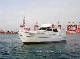 Tours por las islas Palomino en Lima