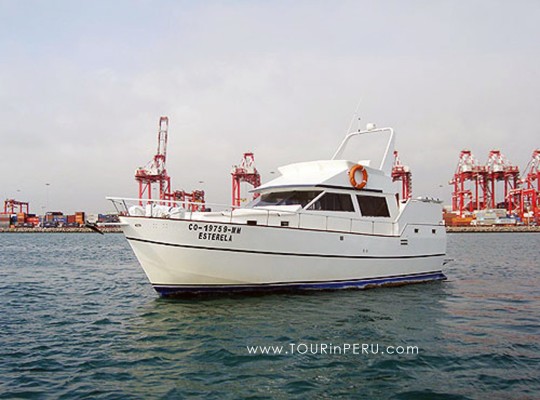Tours por las islas Palomino en Lima
