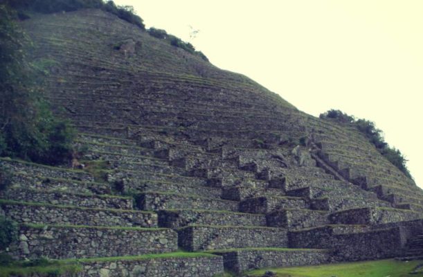 Wiñaywayna en el recorrido del Camino Inca Clàsico