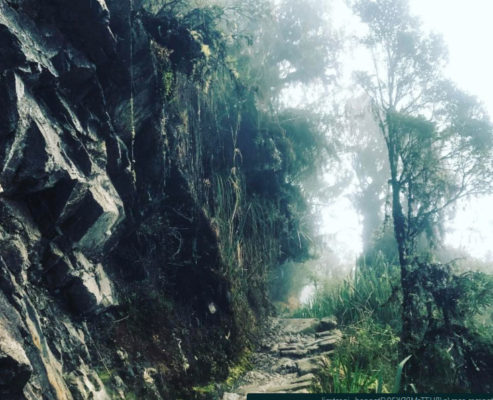 Aventúrate a descubrir el Camino inca a Machu Picchu