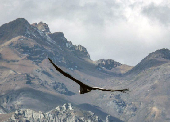 Visita el Valle del Colca antes de los 30