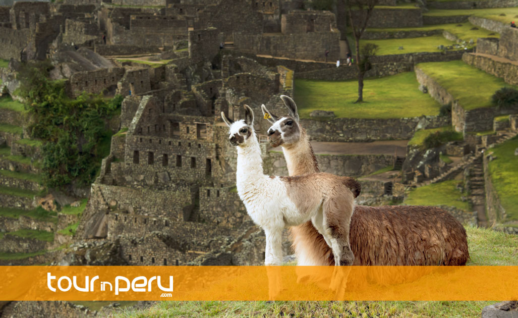 Machu Picchu tendrá dos turnos de ingreso a partir de julio del 2017