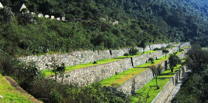 Observe los andenes de las llamas en Choquequirao