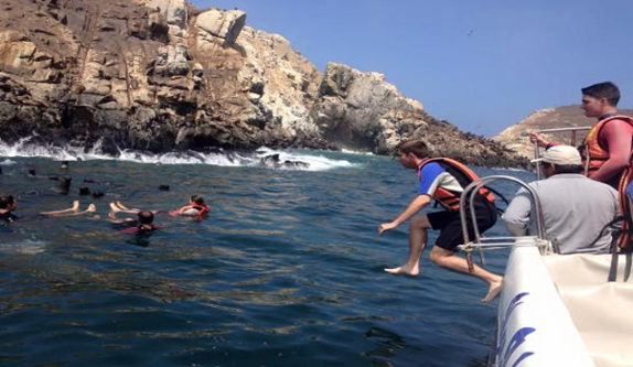 Tour ISLAS PALOMINO