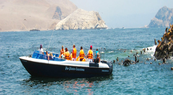 TOUR ISLAS PALOMINO