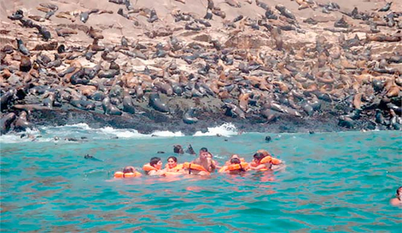 Tour ISLAS PALOMINO