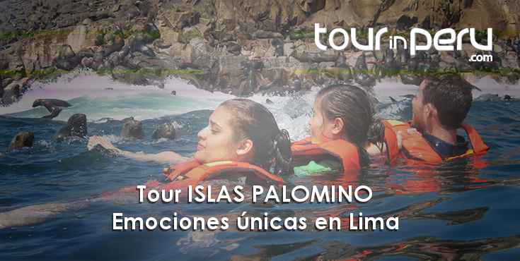 Tour ISLAS PALOMINO emociones únicas en Lima
