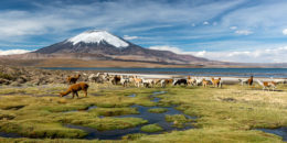 lago titicaca 2 dias llevar
