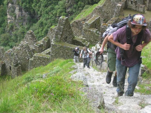 Wiñaywayna, La Magnífica Ruina del Camino Inca a Machu Picchu