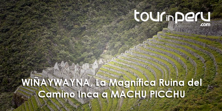 WIÑAYWAYNA, RUINA en el CAMINO INCA – Fantástico sitio arqueológico