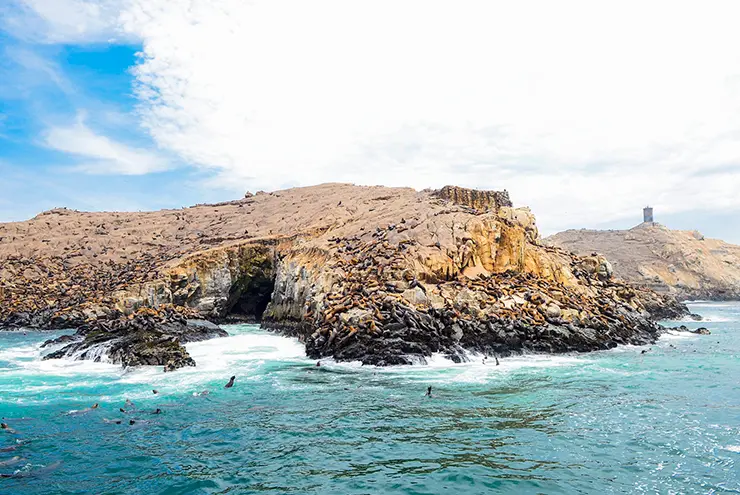 islas-palomino-destino