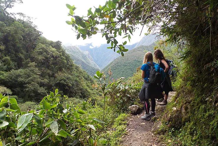 Sendero Camino Inca Corto Sendero Camino Inca Corto