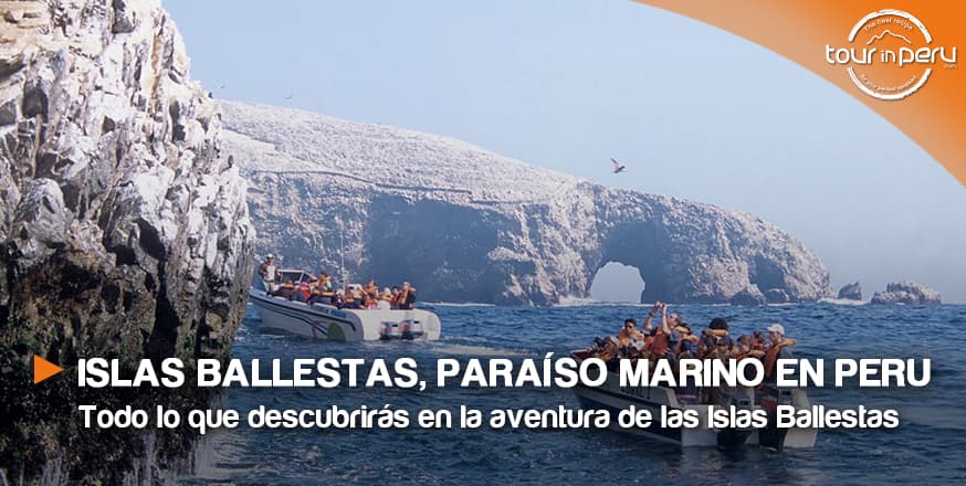 Un paraíso marino en Perú: las Islas Ballestas de Paracas