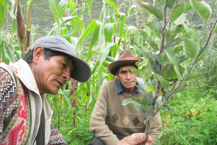 Pachamama raymi 2