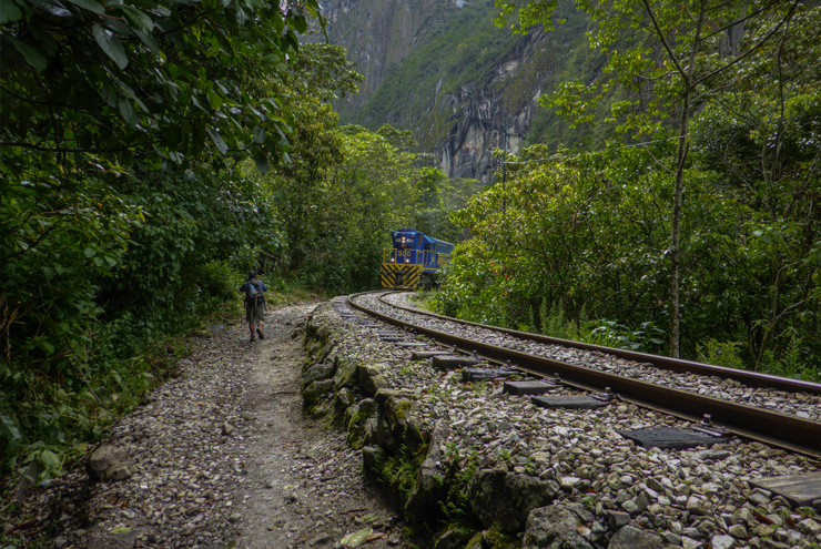 ruta