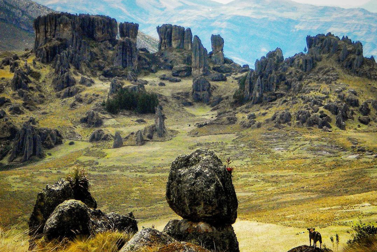 bosque de rocas en cumbemayo Cajamarca 2021 