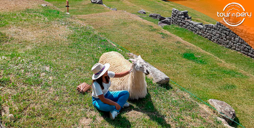 Las 10 mejores maneras de disfrutar Machu Picchu en el 2021