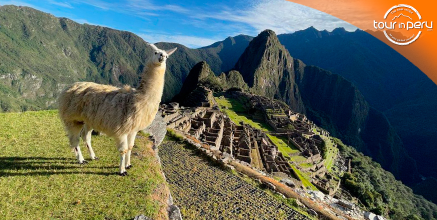 Las 4 rutas increíbles hacia Machu Picchu 2024