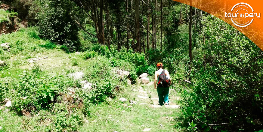 Escenas imperdibles en la caminata de Urquillos hacia Machu Picchu