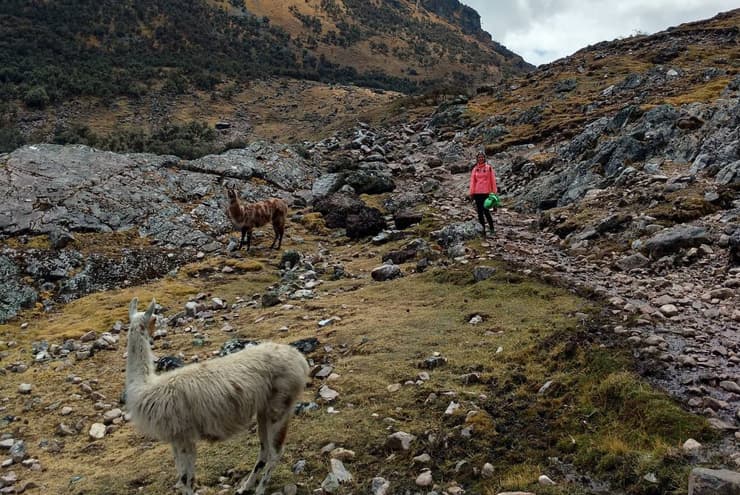 4 Atractivos naturales de Lares 2021