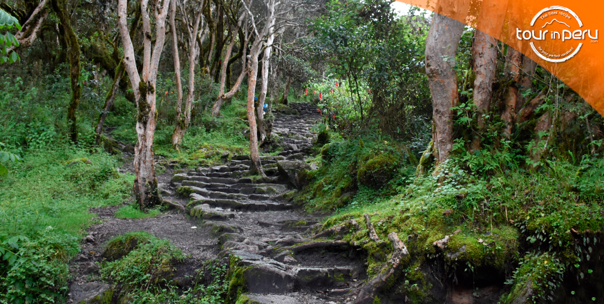 La red vial impresionante de imperio Inca, el Qhapaq Ñan