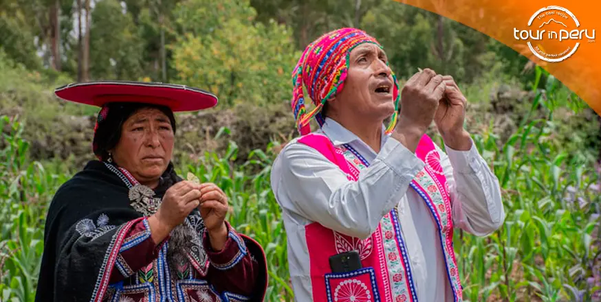 Descubre el Poder del Turismo Regenerativo: Conecta, Aprende y Transforma con TOUR IN PERU