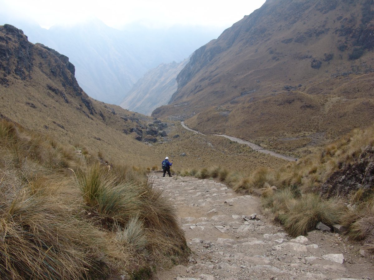 Camino al Paso de Warmi Huañusca Paso de Warmi Huañusca en el Camino Inca